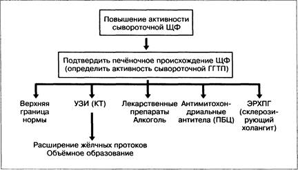 Проанализируйте диаграмму активности ферментов гамма глутамилтрансферазы и щелочной фосфатазы