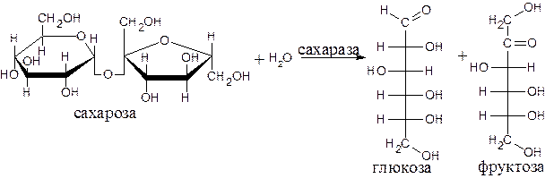 Фруктоза ферменты. Реакция расщепления сахарозы. Схема реакции катализируемой амилазой. Реакции катализируемые сахарозой. Расщепление сахарозы сахаразой.