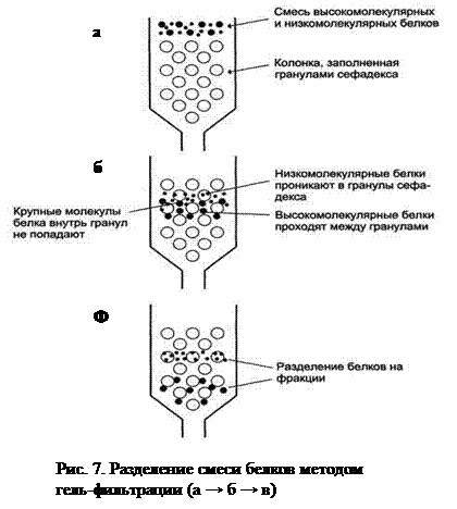 Методы очистки белка. Методы очистки белков. Методы выделения белков. Схема выделения белков. Методы выделения и очистки белков.