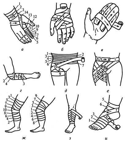 Бинтование нижних конечностей бинтами. Перевязка бедра бинтом. Перевязка голени бинтом. Техника бинтования нижних конечностей эластичным бинтом.