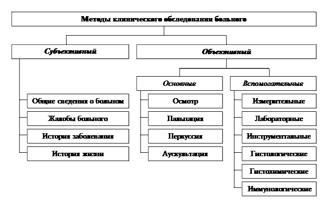 Реферат: Основные методы обследования больного