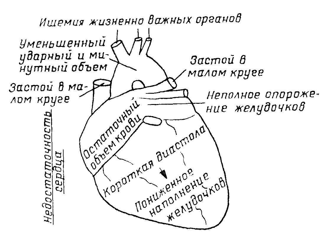 С перебитыми сердцами и жизненным