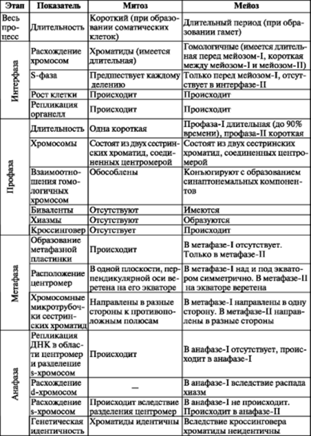 Митоз мейоз заполнить таблицу