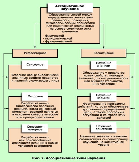 Уровни научения