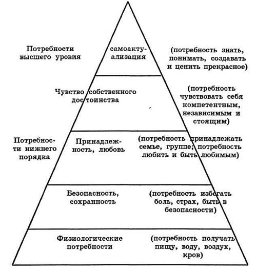 Назовите группы потребностей