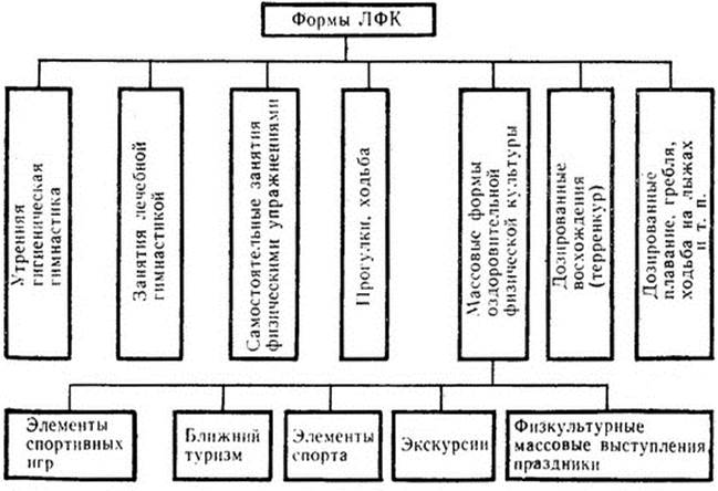 Реферат: ЛЕЧЕБНАЯ ФИЗИЧЕСКАЯ КУЛЬТУРА ПРИ ЗАБОЛЕВАНИЯХ СЕРДЕЧНО-СОСУДИСТОЙ СИСТЕМЫ