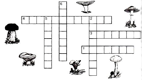 Составить кроссворд грибы