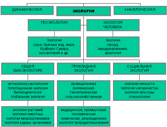 Структура современных экологических знаний схема по Реймерсу. Схема современной экологии. Структура современной экологии схема. Логическая схема структура современной экологии. Направление современной экологии