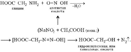 Напишите реакцию глицина. Схема реакции глицина с азотистой кислотой. Глицин и азотистая кислота. Реакция глицина с азотистой кислотой. Глицин и азотная кислота реакция.
