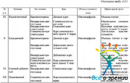 Смешанные чмн расположение и типы ядер функции Внутричерепные нервы - Студопедия