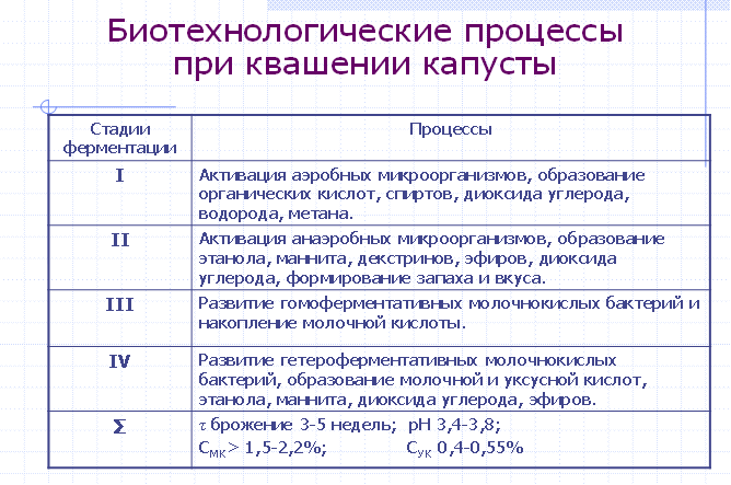 Почему при квашении капусты. Этапы брожения капусты. Какие процессы происходят при квашении капусты химия. Стадии брожения капусты при квашении. Продолжительность процесса брожения капусты.