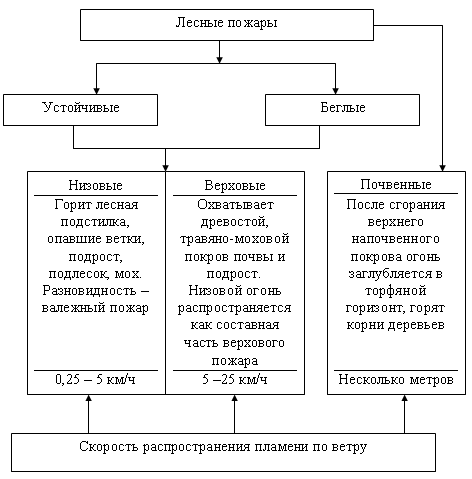 Составьте схему классификация природных пожаров по характеру горения
