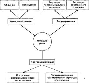 Схема взаимодействия психолингвистики с другими областями знания