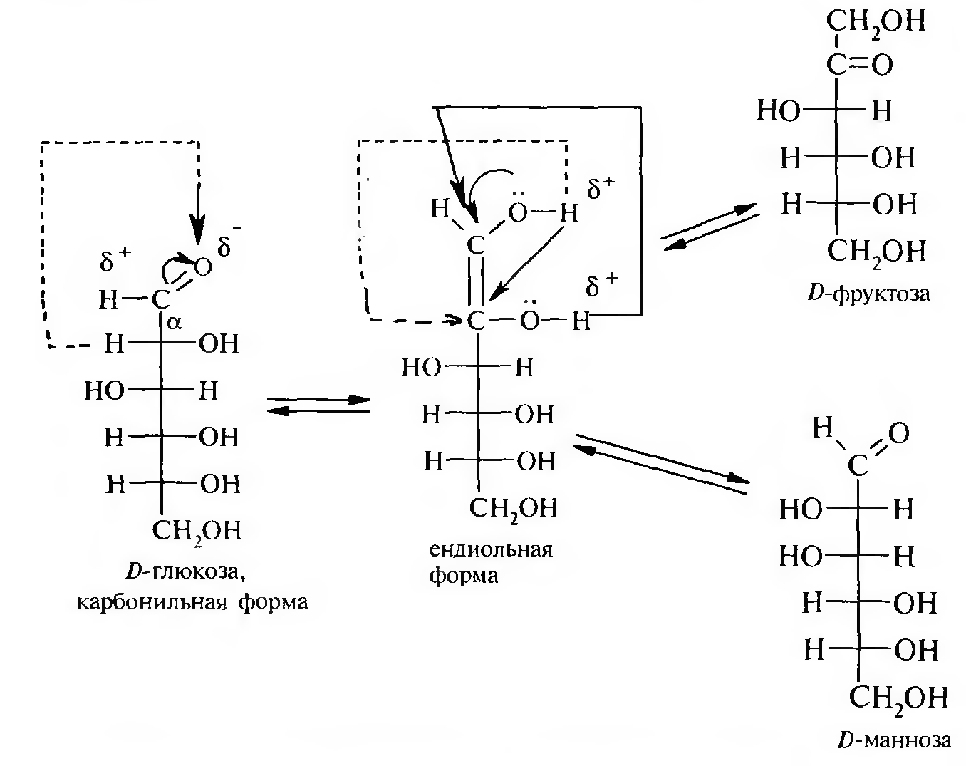 Нарушения фруктозы