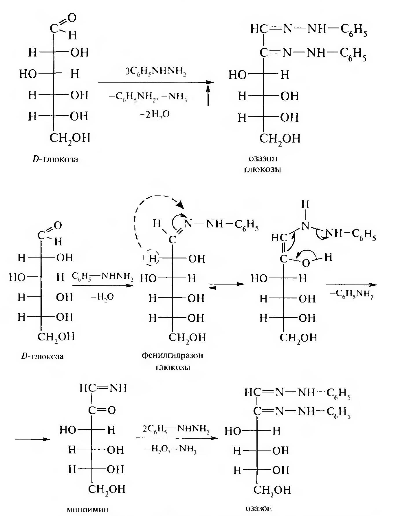 D глюкоза реакции. Озазон рибозы. Образование озазонов Глюкозы. Образование озазона Глюкозы реакция. Гидролиз озазона Глюкозы.