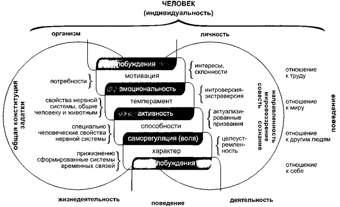 Схема личность человек индивид индивидуальность личность