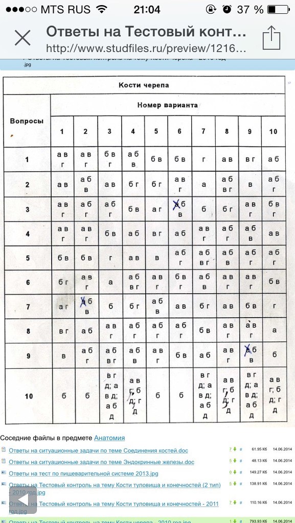 Череп тест с ответами