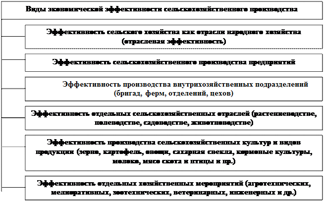 Эффективность сельскохозяйственных предприятий