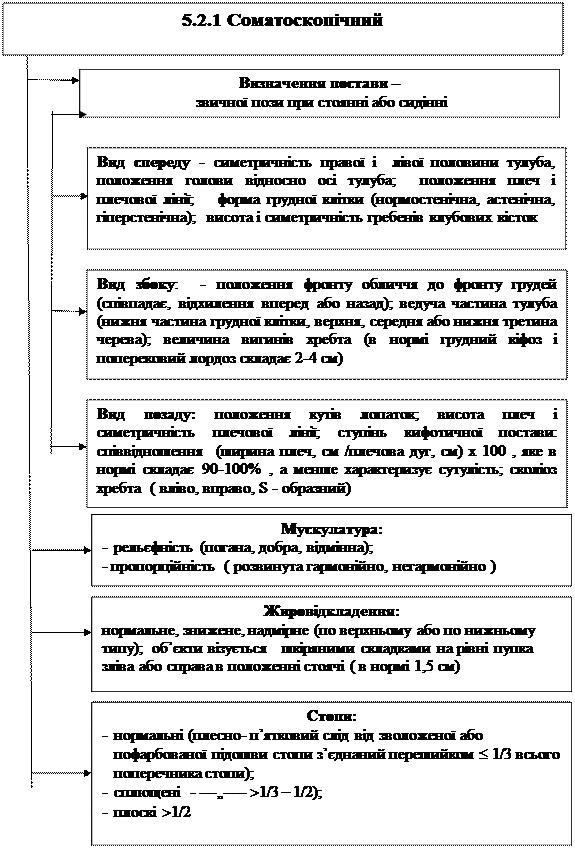 Курсовая работа по теме Біохімічне дослідження процесу стомлення у підлітків