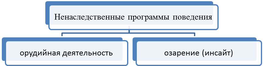 Истребовании движимого имущества