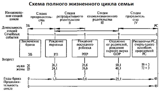 Жизненный цикл семьи схема