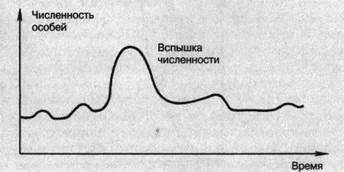 Чем определяется динамика популяций. Смотреть фото Чем определяется динамика популяций. Смотреть картинку Чем определяется динамика популяций. Картинка про Чем определяется динамика популяций. Фото Чем определяется динамика популяций