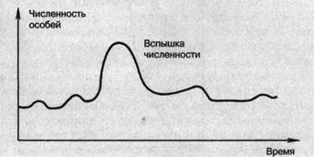 При чрезмерном увеличении численности плотности популяции. Популяционные волны. Популяционные волны это в биологии. Популяционные волны жизни. Популяционные волны это в биологии кратко и понятно.