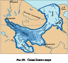 Белое Море Фото На Карте