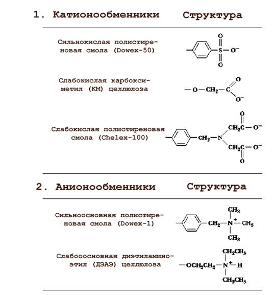Аминокислоты относятся к соединениям. Разделение аминокислот. С2н9 какая аминокислота. Катионообменники.