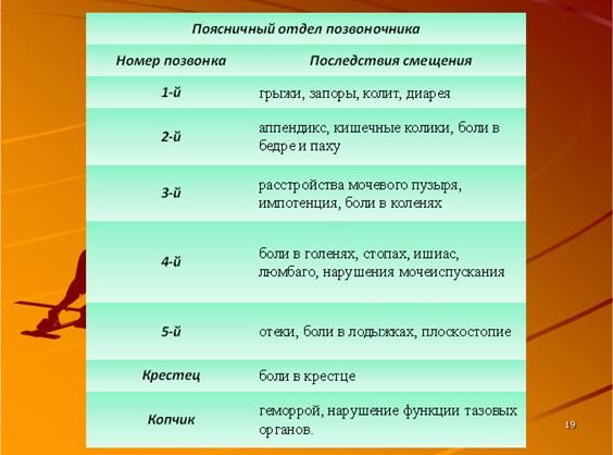 строение позвоночника человека схема с обозначениями. позвоночник человека. позвоночный столб отделы позвонков. функции поясничных позвонков. функция отдела позвоночника.