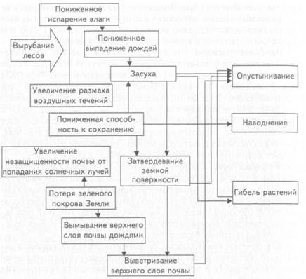 Последствия вырубки леса схема
