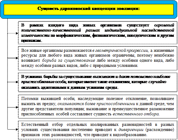 Оформите схему логическая структура дарвинизма живые организмы характеризуются жизненные ресурсы