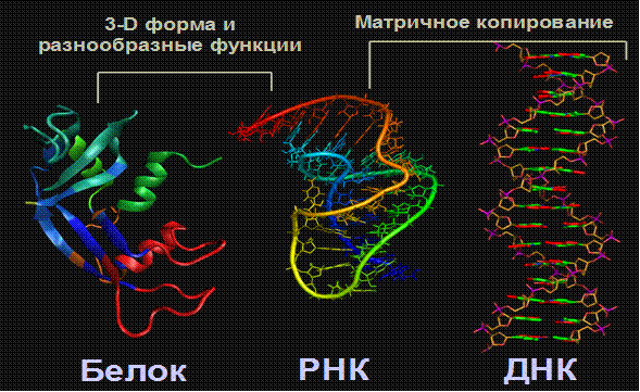 Днк 03.04 2024. Высокопроизводительный синтезатор ДНК/РНК Ташкент.