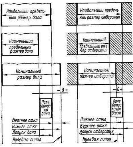 Схема взаимозаменяемости сотрудников образец