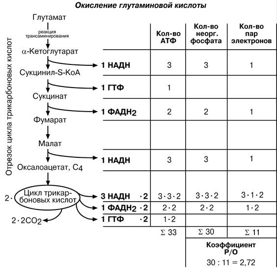Отметь схему процесса окисления p 5 5e p0