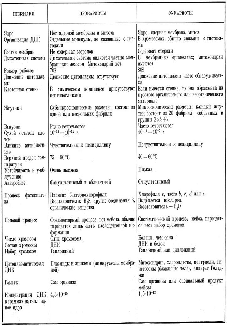 Сравнить эукариот и прокариот