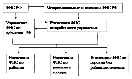 Подразделение налоговой службы. Структура ФНС. Структура налоговой службы России. ФНС структура структура. Функции ФНС.