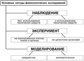 Нормальная физиология в схемах и таблицах