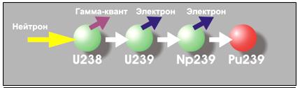 При попадании нейтрона в ядро урана. Уран 239. Попадание нейтрона в ядро. Реакция нейтроны и гамма кванты. Превращение u238 в pu239 с захватом Протона.