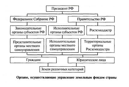 Функции управления земельными ресурсами схема