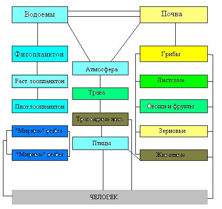 Передача токсичных веществ по пищевой цепи схема