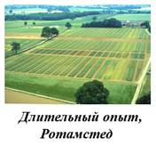 Что такое схема полевого опыта