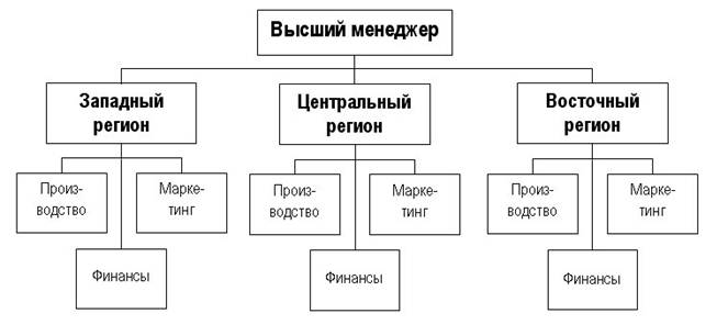 Дивизионально потребительская структура схема