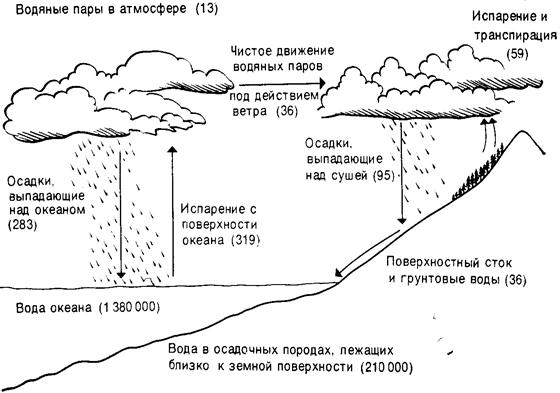 Расскажите о круговороте воды в природе составьте логическую схему круговорота воды 8