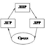 Лпр и лвр
