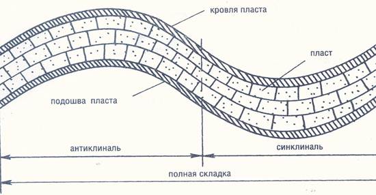 Как называется карта на которой изображается рельеф кровли или подошвы продуктивного пласта