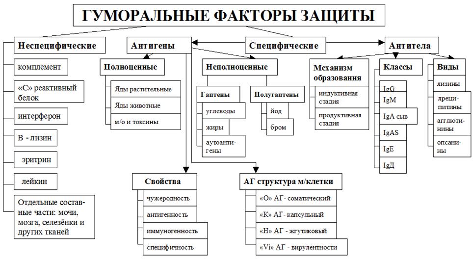 Факторы неспецифической защиты организма схема