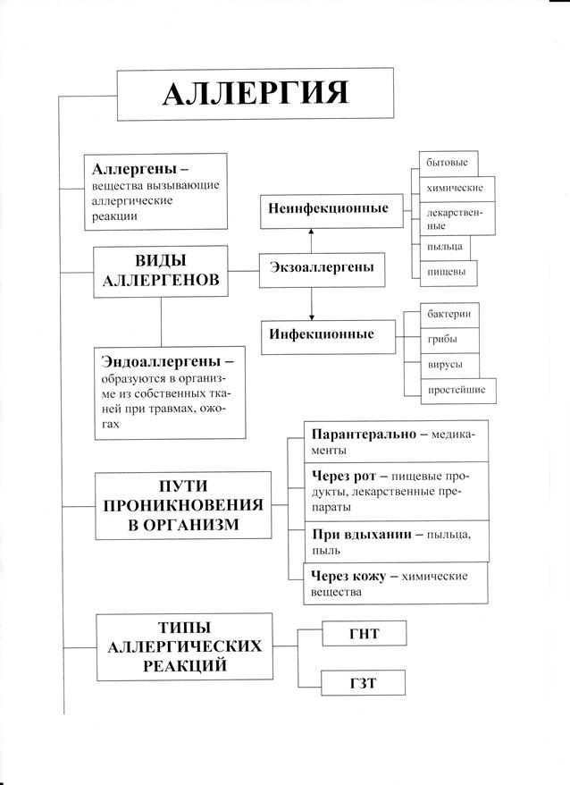 Виды аллергии схема