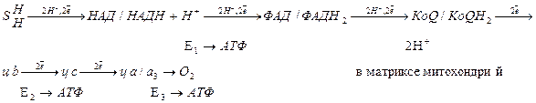 Биологическое окисление в клетке происходит в чем. image143. Биологическое окисление в клетке происходит в чем фото. Биологическое окисление в клетке происходит в чем-image143. картинка Биологическое окисление в клетке происходит в чем. картинка image143.