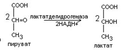 Биологическое окисление в клетке происходит в чем. image166. Биологическое окисление в клетке происходит в чем фото. Биологическое окисление в клетке происходит в чем-image166. картинка Биологическое окисление в клетке происходит в чем. картинка image166.